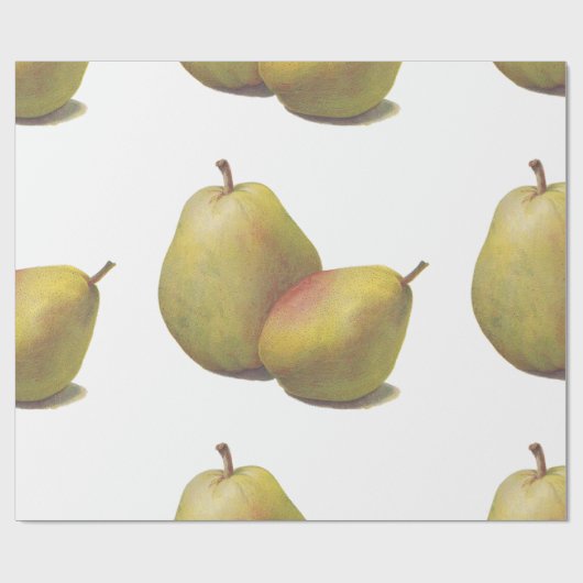 5  peren geïllustreerd cadeaupapier (Vlak)