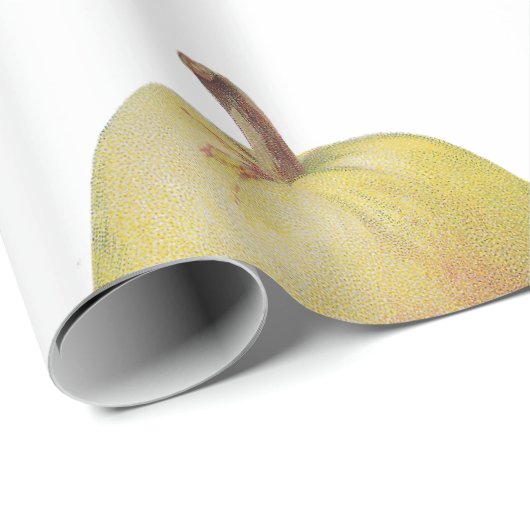 5  peren geïllustreerd cadeaupapier (Rol Hoek)