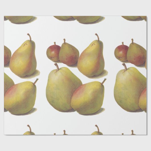 5  peren geïllustreerd cadeaupapier (Vlak)