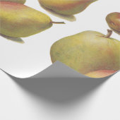 5  peren geïllustreerd cadeaupapier (Hoek)