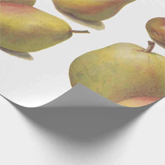 5  peren geïllustreerd cadeaupapier (Hoek)