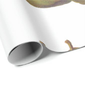 5  peren geïllustreerd cadeaupapier (Rol Hoek)