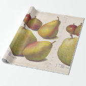 5  peren geïllustreerd cadeaupapier (Uitgerold)