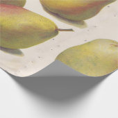 5  peren geïllustreerd cadeaupapier (Hoek)