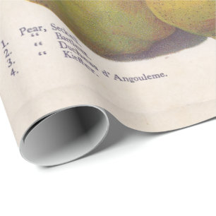 5  peren geïllustreerd cadeaupapier
