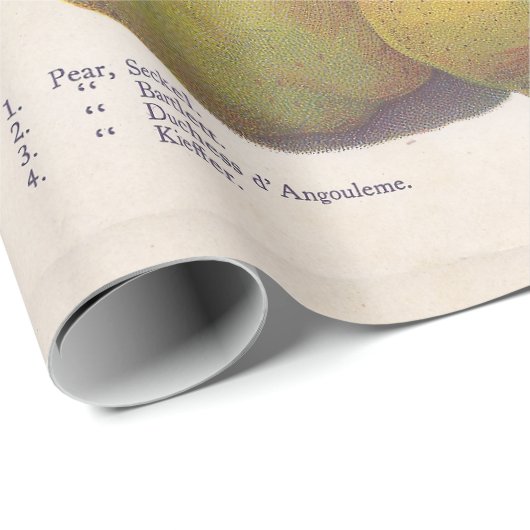 5  peren geïllustreerd cadeaupapier (Rol Hoek)