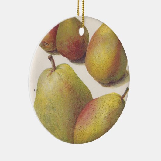 5 peren geïllustreerd keramisch ornament (Rechts)