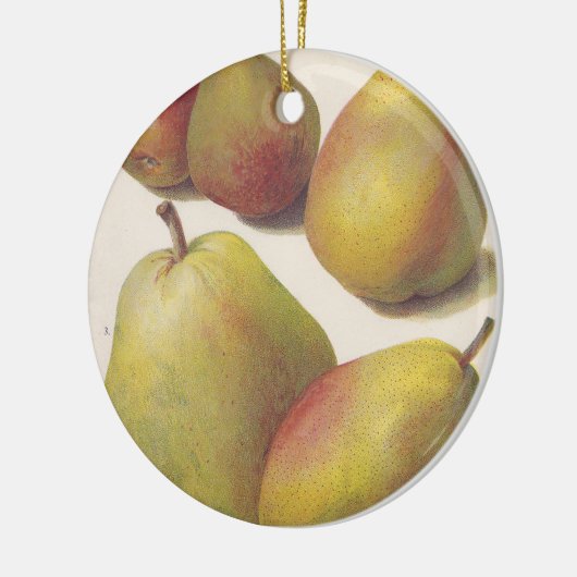 5  peren geïllustreerd keramisch ornament (Links)