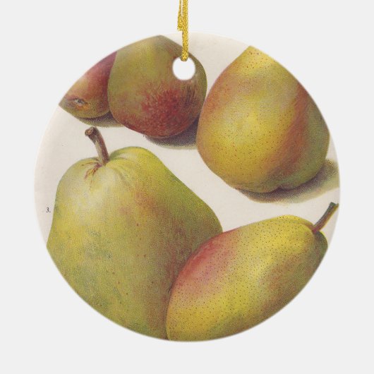 5  peren geïllustreerd keramisch ornament (Achterkant)