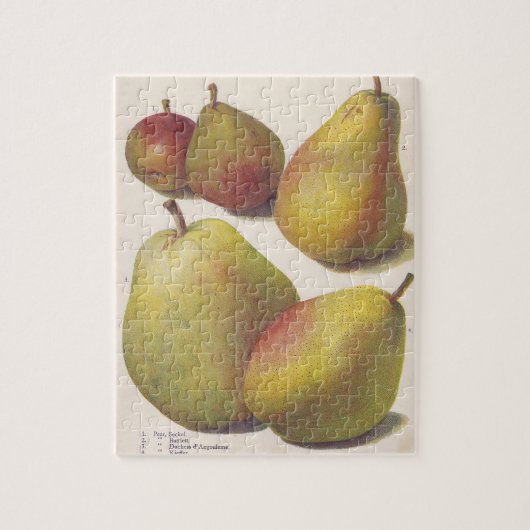 5  peren geïllustreerd legpuzzel (Verticaal)