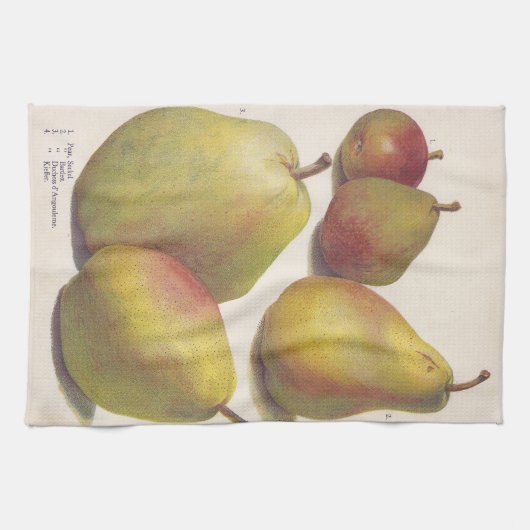 5  peren geïllustreerd theedoek (Horizontaal)