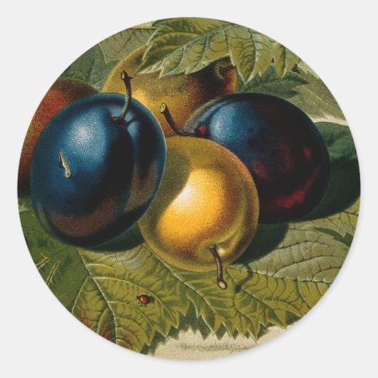 5  pruimen schilderen ronde sticker (Voorkant)