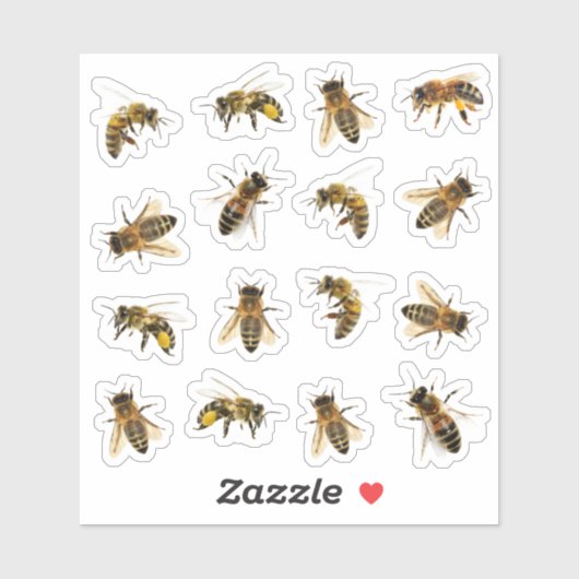 5 Realistische honingbijen op 16 vinyl Stickers (Vel)