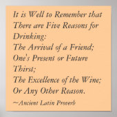 5 Redenen voor het Drink Poster (Voorkant)