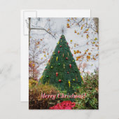 5 Story Sdc Tree Christmas Postcard Briefkaart (Voorkant / Achterkant)
