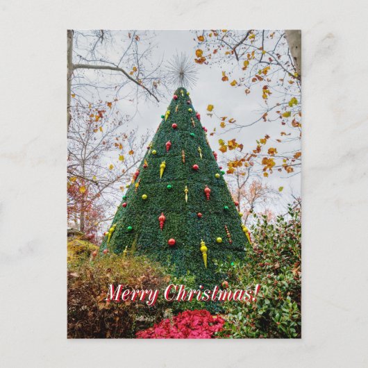 5 Story Sdc Tree Christmas Postcard Briefkaart (Voorkant)