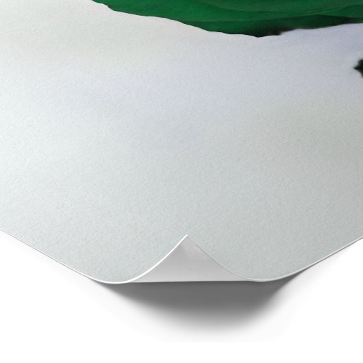 5 Tafel Smaragd Groen Roos Trouwstoelkaart Poster (Hoek)