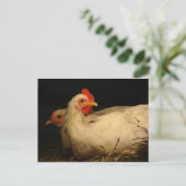 5 tenen en Survivor Briefkaart (Staand voorkant)