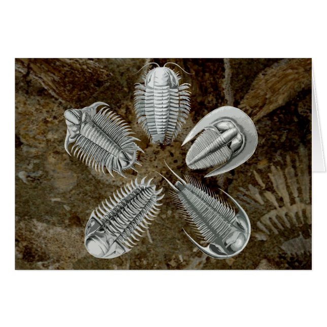 5 Trilobites-kaart (Voorkant Horizontaal)