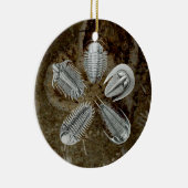 5 Trilobites Ornament (Rechts)