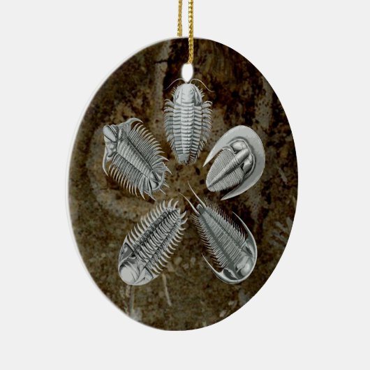 5 Trilobites Ornament (Rechts)