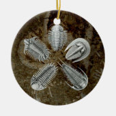 5 Trilobites Ornament (Voorkant)