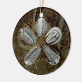 5 Trilobites Ornament (Links)
