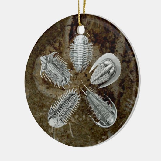 5 Trilobites Ornament (Links)