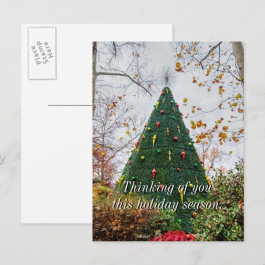 5 Verhaal SDC-overzicht van uw verhaal na het Brie Briefkaart (Voorkant / Achterkant)