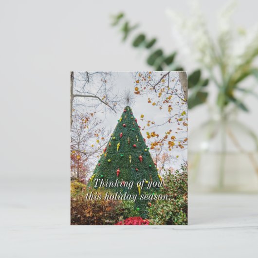 5 Verhaal SDC-overzicht van uw verhaal na het Brie Briefkaart (Staand voorkant)