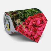 5 Verhaal SDC-Stropdas Stropdas (Opgerold)