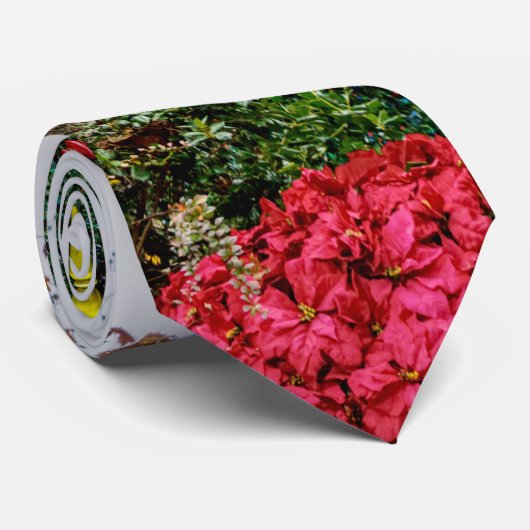 5 Verhaal SDC-Stropdas Stropdas (Opgerold)