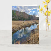 5 "x7" gevouwen Kaart | Creek Reflection 12 v3 (Gele Bloem)