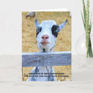 5 "x7" gevouwen Kaart niet-bevriende geit