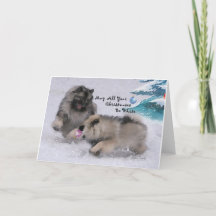 5 x 7 2018 de Kerstkaart van Keeshond van de