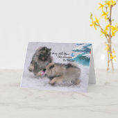 5 x 7 2018 de Kerstkaart van Keeshond van de Kaart (Gele Bloem)
