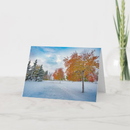 5 x 7 Blank Note Kaart Set