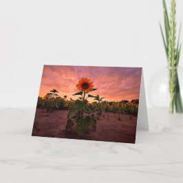 5 x 7 Blank Note Kaart Set