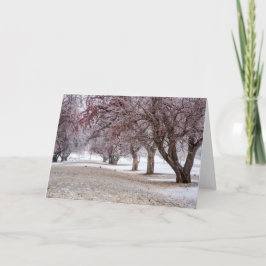 5 x 7 Blank Note Kaart Set