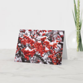 5 x 7 Blank Note Kaart Set