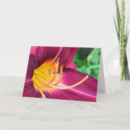 5 x 7 Blank Note Kaart Set