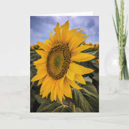 5 x 7 Blank Note Kaart Set