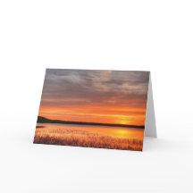 5 x 7 Blank Note Kaart Set