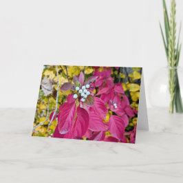 5 x 7 Blank Note Kaart Set