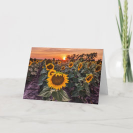 5 x 7 Blank Note Kaart Set
