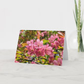 5 x 7 Blank Note Kaart Set (Voorkant)