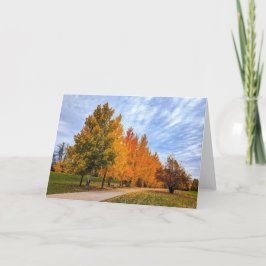 5 x 7 Blank Note Kaart Set