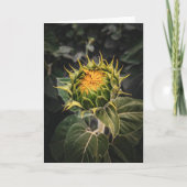 5 x 7 Blank Note Kaart Set (Voorkant)