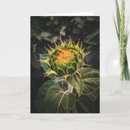 5 x 7 Blank Note Kaart Set