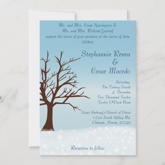 5 x 7 bruiloft uitnodiging Twinkling sneeuw / kale (Voorkant)